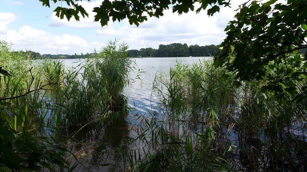 Ferienhaus Natura Neuruppin Szoba fotó