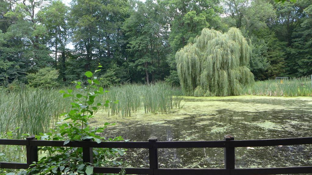 Ferienhaus Natura Neuruppin Szoba fotó