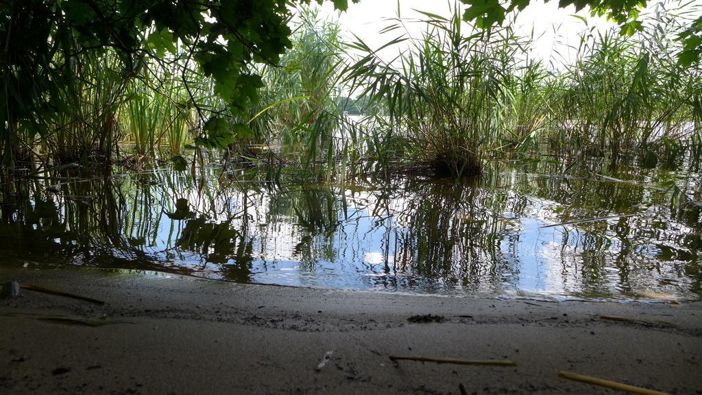 Ferienhaus Natura Neuruppin Szoba fotó